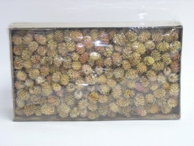 Sušina šiška salignum 1,2 kg