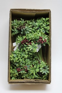 Pik ilex