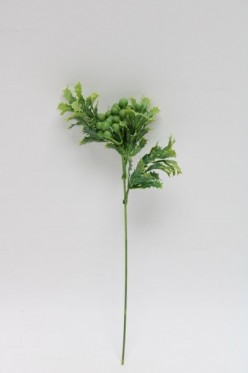 Pik ilex