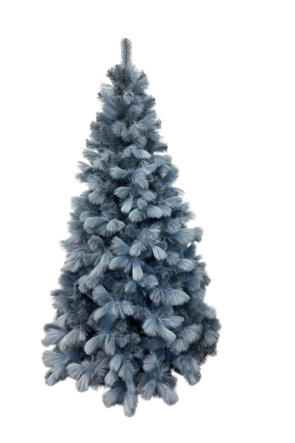 Borovica Emily  170 cm