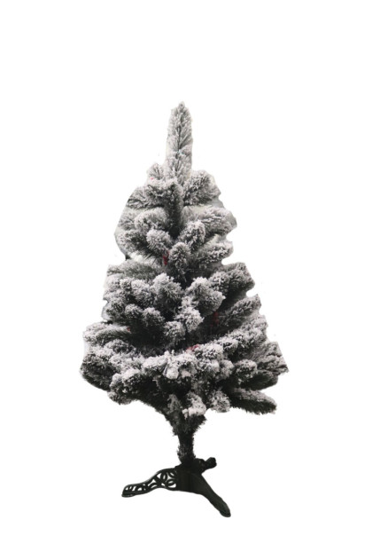 Borovica IZA zasnežená 