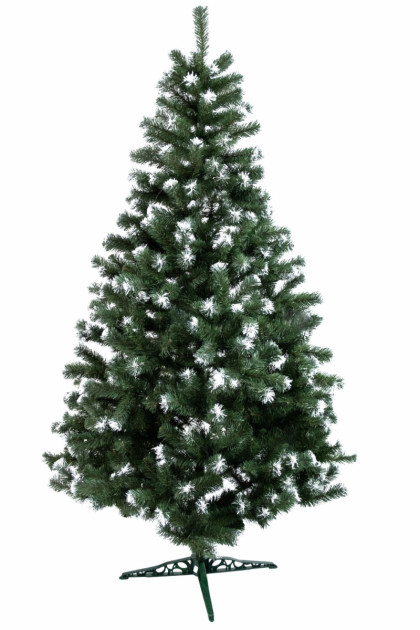Jedľa Beata 220 cm