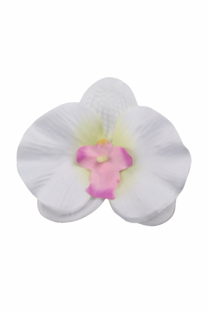 Orchidea sat. hl.