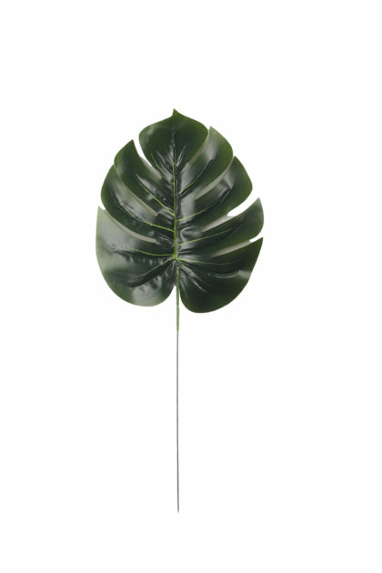 List monstera (pogumovaná) ks