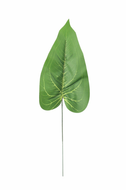 List pothos ks