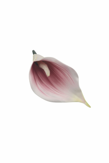 Kála penová  hl.