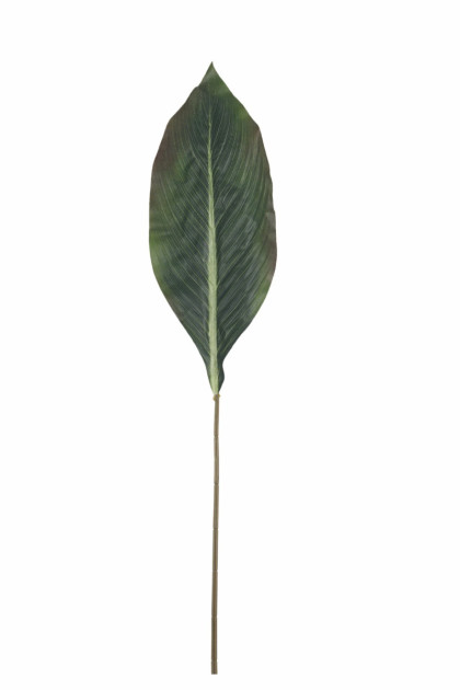 List kanna 81 cm