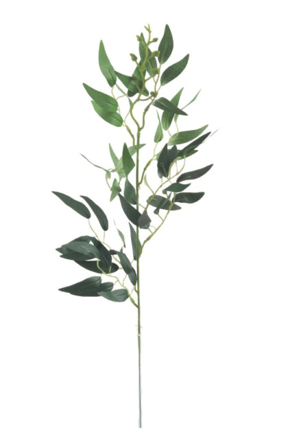 Vetva ruskus ks