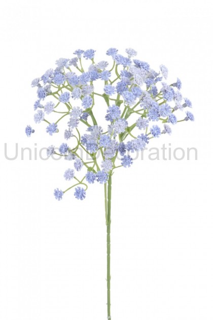Gypsophila ks