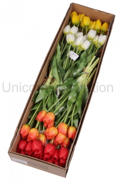Kytica tulipán guma x5