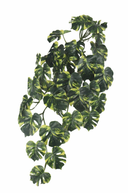 Ťahačka monstera 