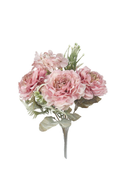 Kytica ranunculus x 7