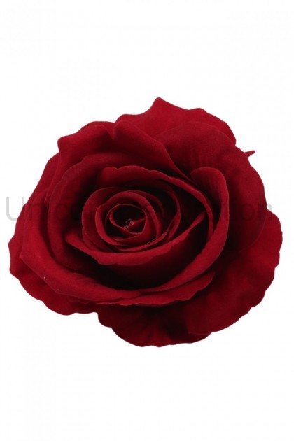 Ruža velvet hl. 10 cm