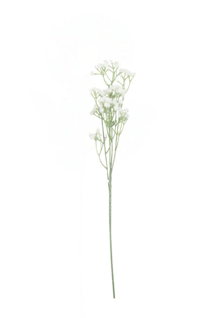 Gipsofila ks 62 cm