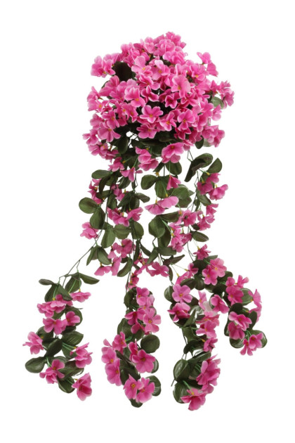 Ťahačka kvietková 