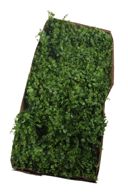 Prízdoba eukalyptus  plast.   ks