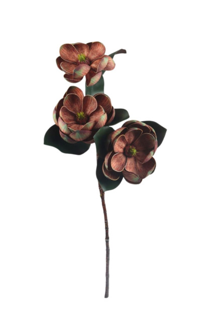 Magnolia vetva pena   ks