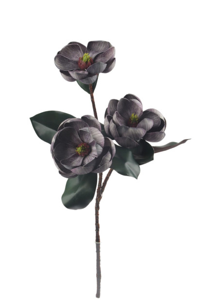 Magnolia vetva pena   ks