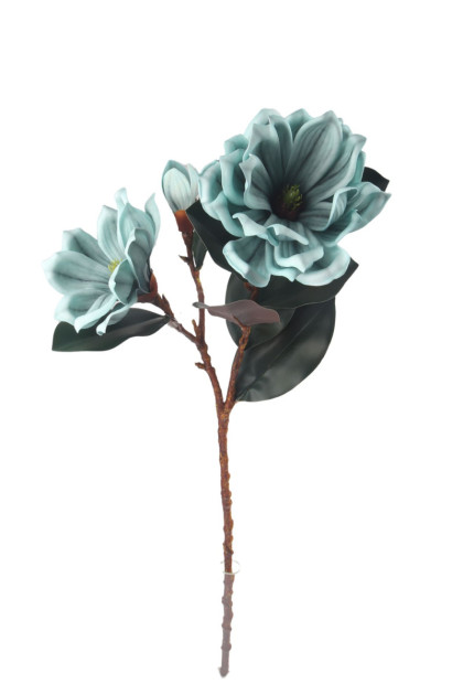 Magnolia vetva pena   ks