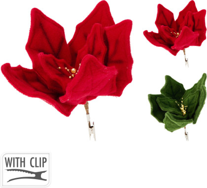 Poinsercia na štipci 30 cm