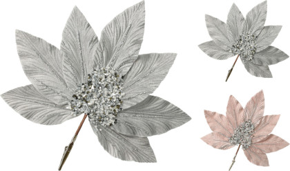 Poinsercia na štipci 25cm / 2 fareb