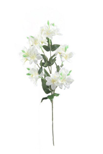 Trs kvietky ks  70 cm