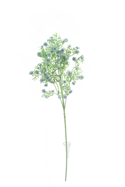 Gypsophila ks 70 cm