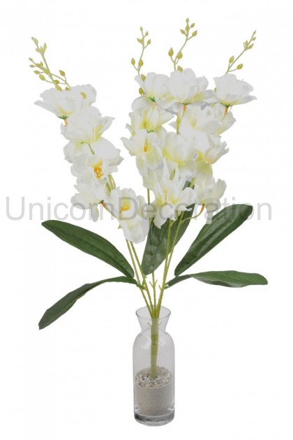 Kytica orchidea