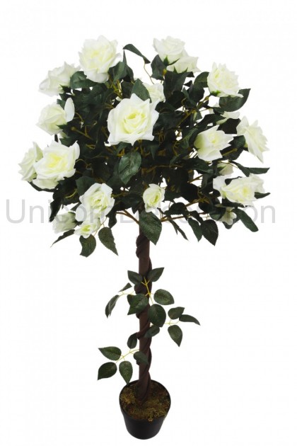 Ruža kvitnúca - strom v črepníku 120 cm