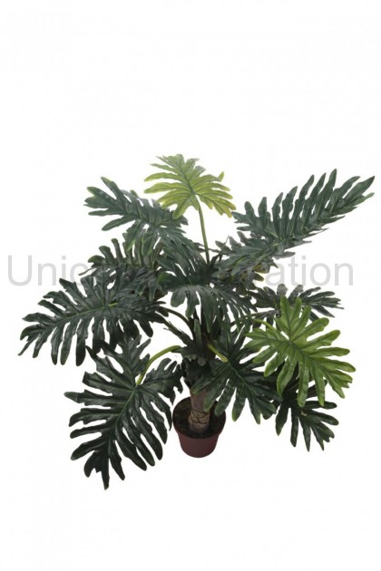 Philodendron v črepníku 125 cm