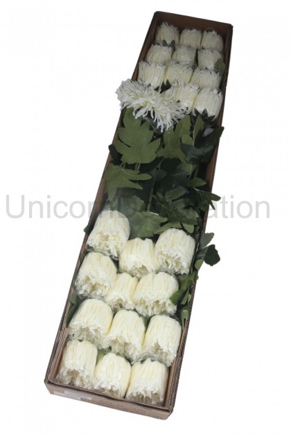 Chryzantéma   74 cm ks