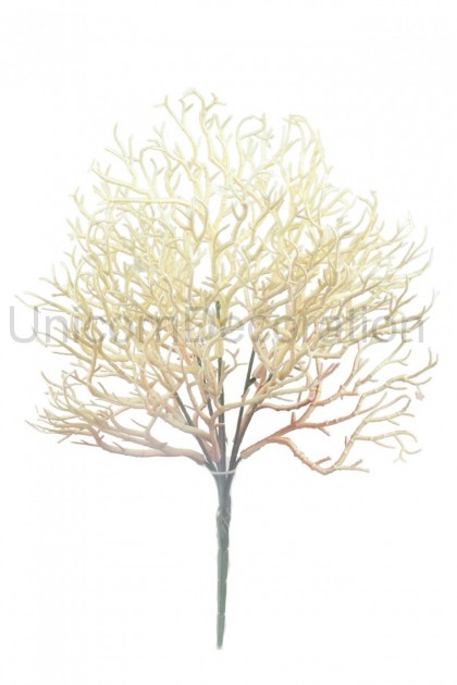 Trs korál 40 cm