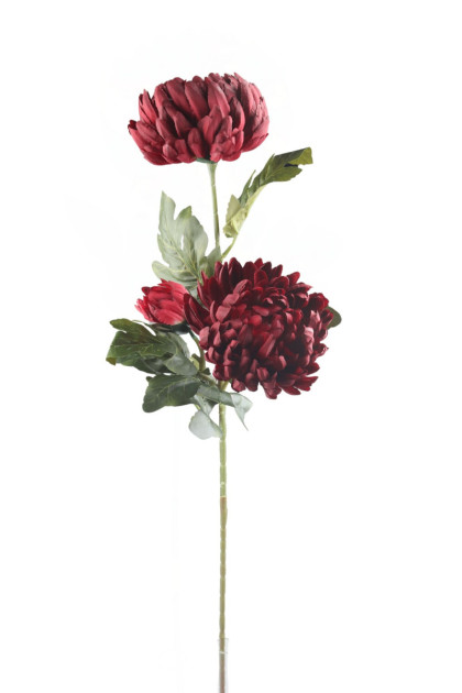 Chryzantéma x 2 (85 cm)