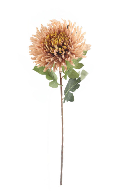 Chryzantéma ks (74 cm)