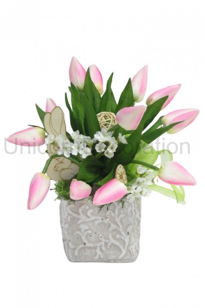 Jarná kocka tulipán, zajačik