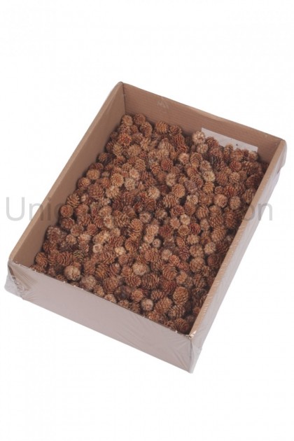 Sušina šiška salignum 2kg 