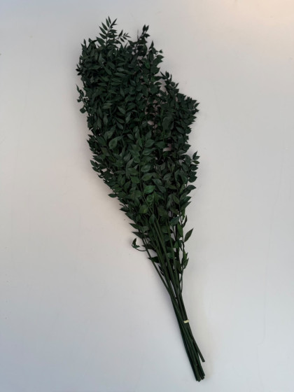 Sušina Ruscus 120g