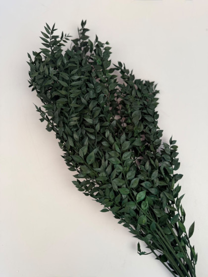 Sušina Ruscus 120g
