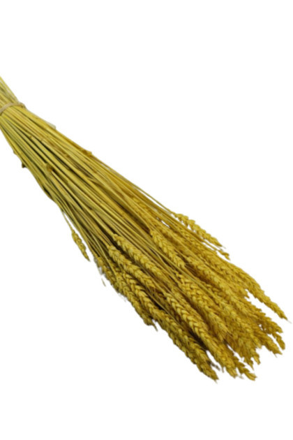 Sušina  Raž 150 gr