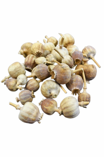 Sušina mak - hlava - natur. (0,2 kg/ bal)