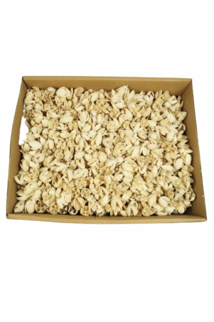 Sušina Bakuli bielená  (3kg)/ krabica