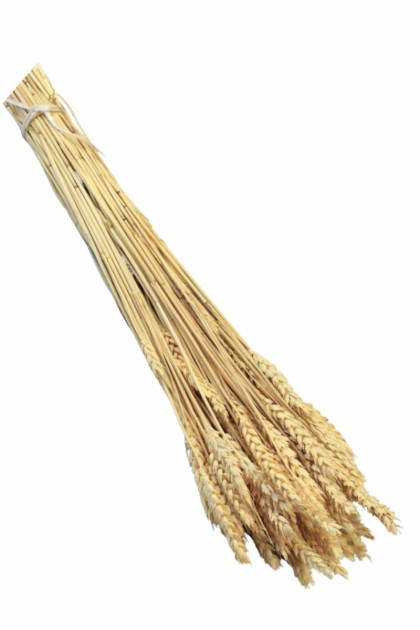 Sušina pšenica bielená (150g)/bal