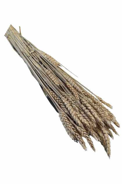 Sušina  Pšenica omrznutá (150g)/bal.