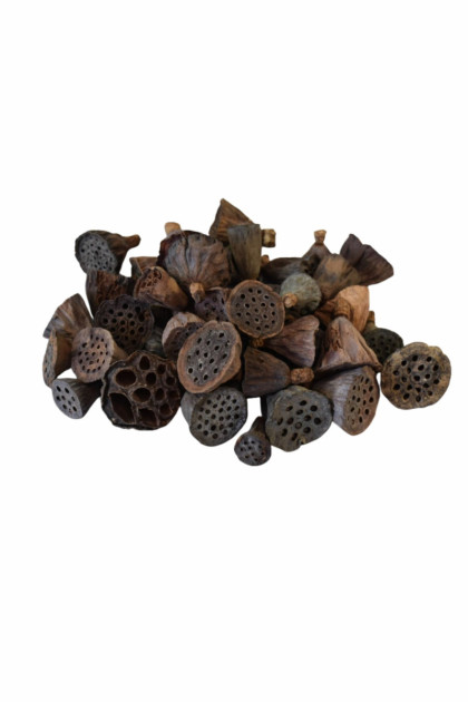 Sušina Lotus mini - natur.(100g)/ bal.
