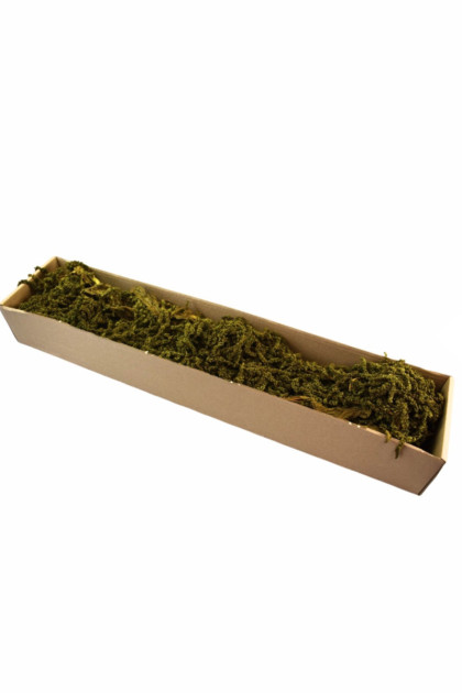 Sušina Amaranthus zelený (0,4 kg / krab.)