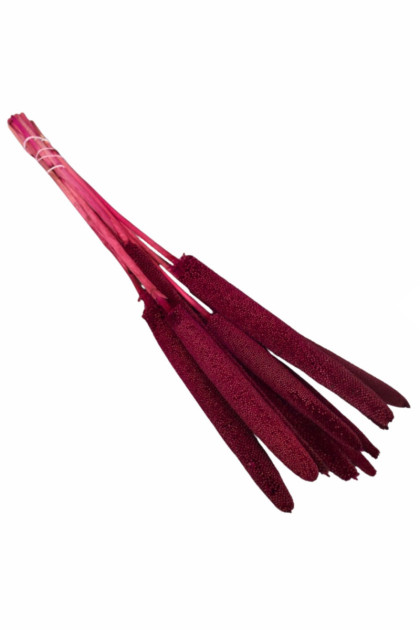 Sušina Babala burgundy 10ks / bal.