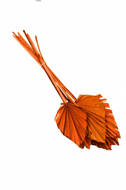 Sušina palmový list oranžový (10 ks / bal.)