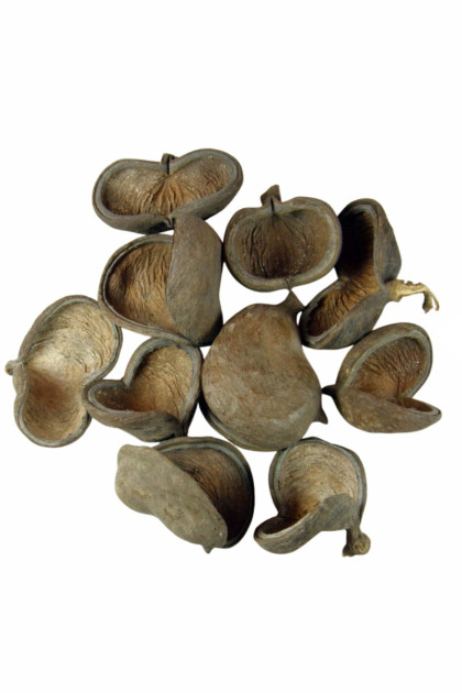 Sušina Badam natur (7 ks / bal.)