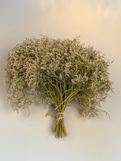 Sušina statica natur 250g