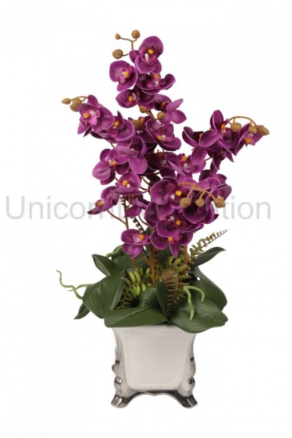 Orchidea drobnokvetá v keramike